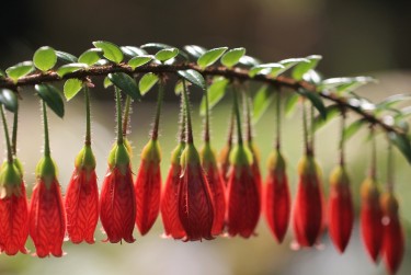 深圳罗湖区2私人快速借钱网，轻松解决资金难题