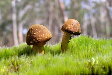 深圳罗湖区2私人老板放款：轻松融资的秘密通道